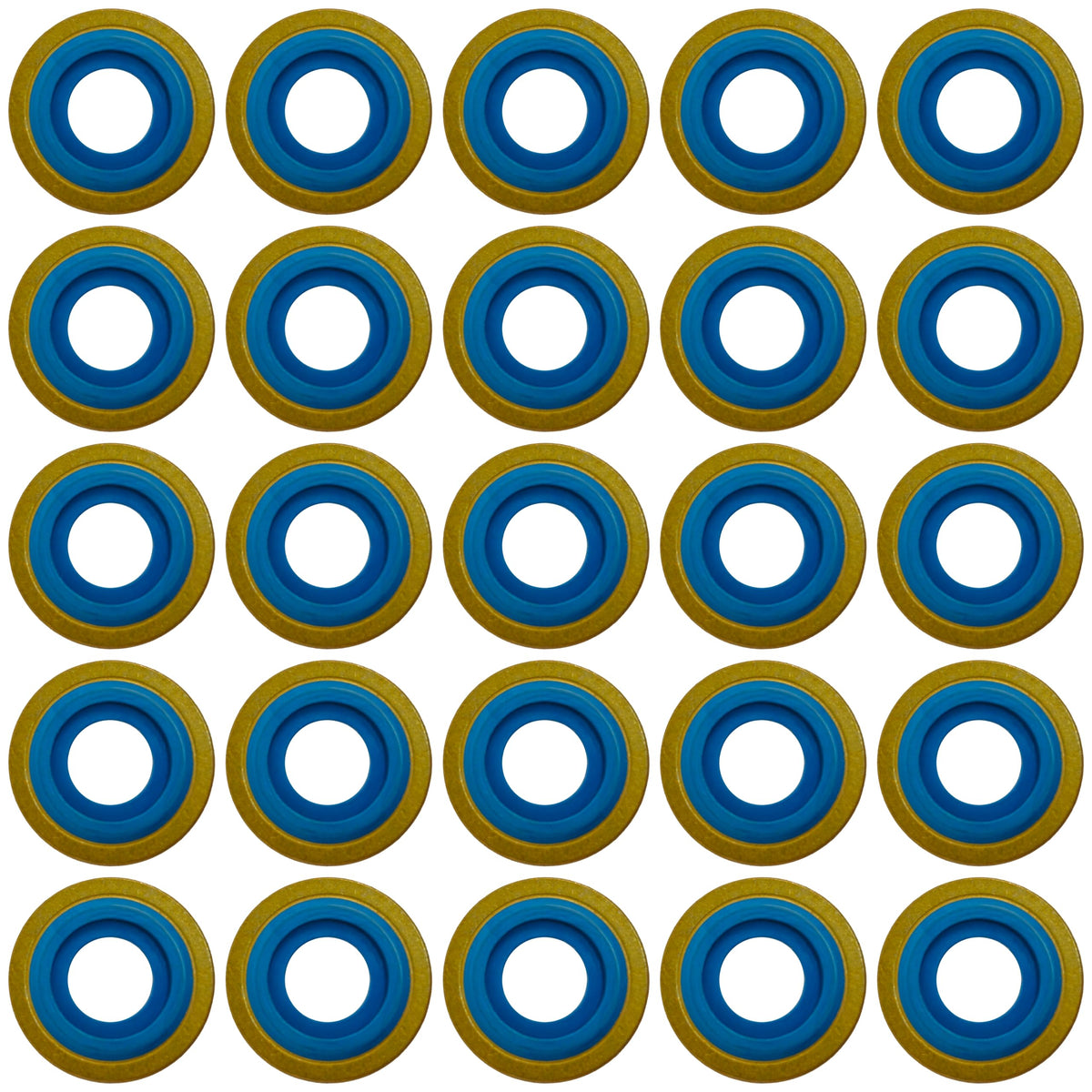 Premium Blue Viton Oxygen Yoke Washer Seals – Smooth-Edge CGA-870